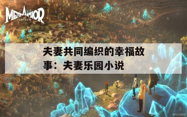 夫妻共同编织的幸福故事：夫妻乐园小说