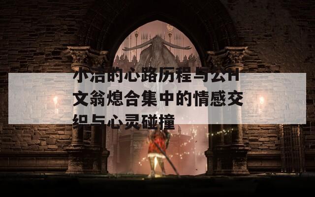 小洁的心路历程与公H文翁熄合集中的情感交织与心灵碰撞