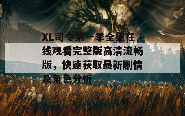 XL司令第一季全集在线观看完整版高清流畅版，快速获取最新剧情及角色分析