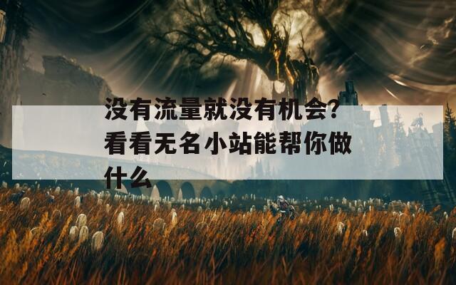 没有流量就没有机会？看看无名小站能帮你做什么