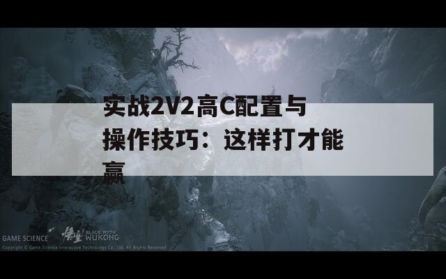 实战2V2高C配置与操作技巧：这样打才能赢