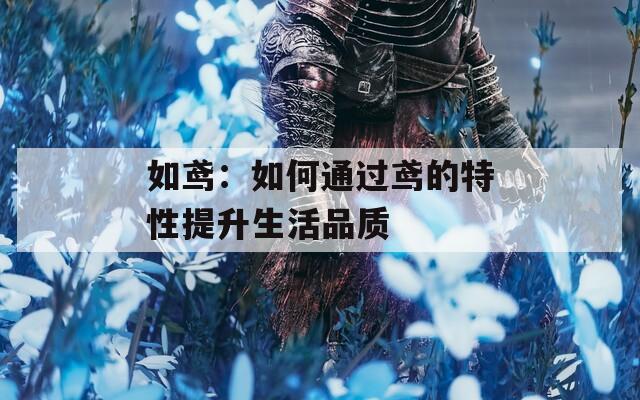 如鸢：如何通过鸢的特性提升生活品质