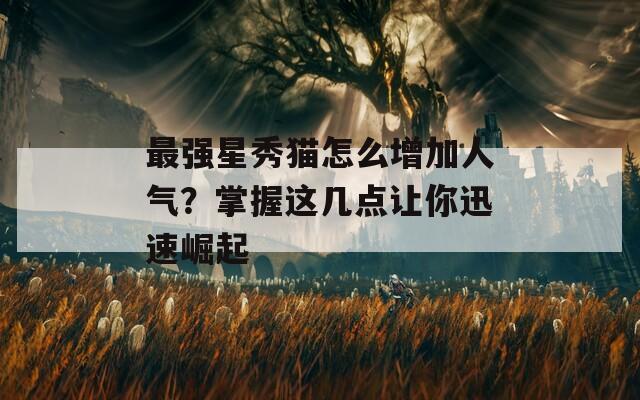 最强星秀猫怎么增加人气？掌握这几点让你迅速崛起