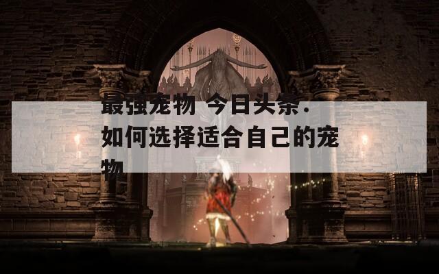 最强宠物 今日头条：如何选择适合自己的宠物