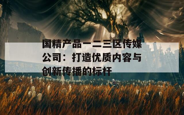 国精产品一二三区传媒公司：打造优质内容与创新传播的标杆