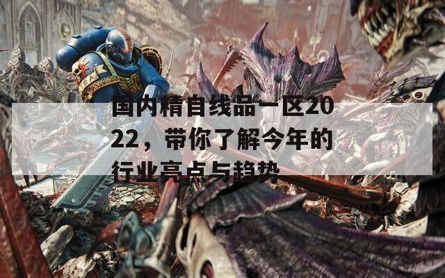 国内精自线品一区2022，带你了解今年的行业亮点与趋势