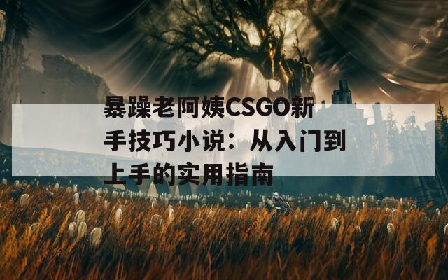 暴躁老阿姨CSGO新手技巧小说：从入门到上手的实用指南