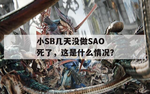 小SB几天没做SAO死了，这是什么情况？