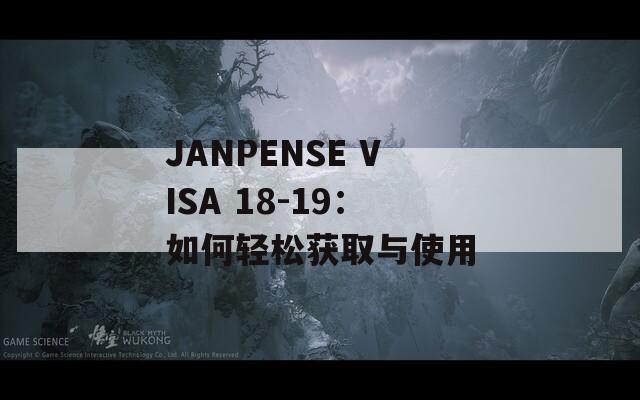 JANPENSE VISA 18-19：如何轻松获取与使用