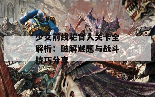 少女前线驼背人关卡全解析：破解谜题与战斗技巧分享