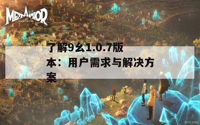 了解9幺1.0.7版本：用户需求与解决方案