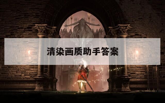 清染画质助手答案