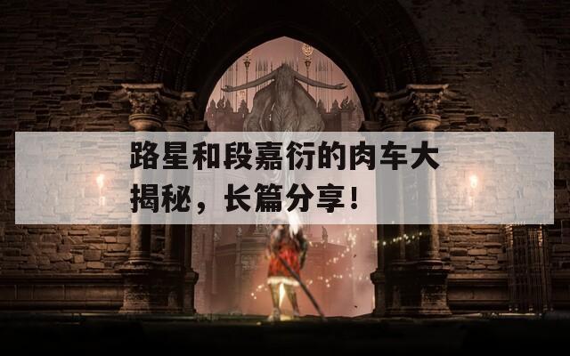路星和段嘉衍的肉车大揭秘，长篇分享！