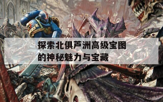 探索北俱芦洲高级宝图的神秘魅力与宝藏