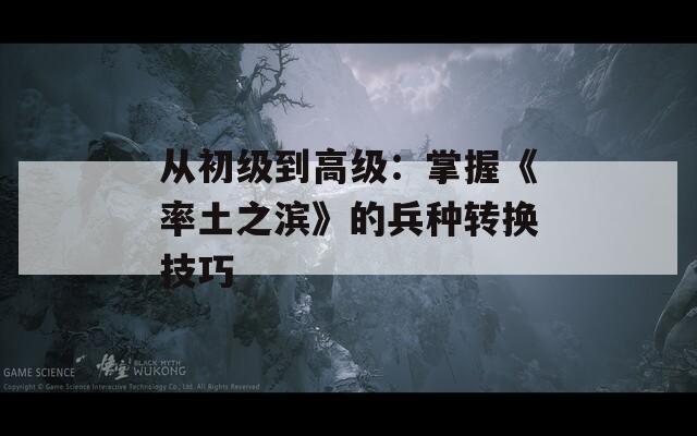 从初级到高级：掌握《率土之滨》的兵种转换技巧