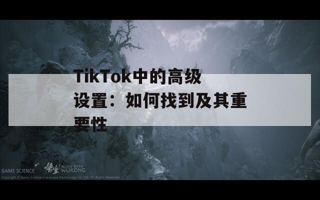 TikTok中的高级设置：如何找到及其重要性